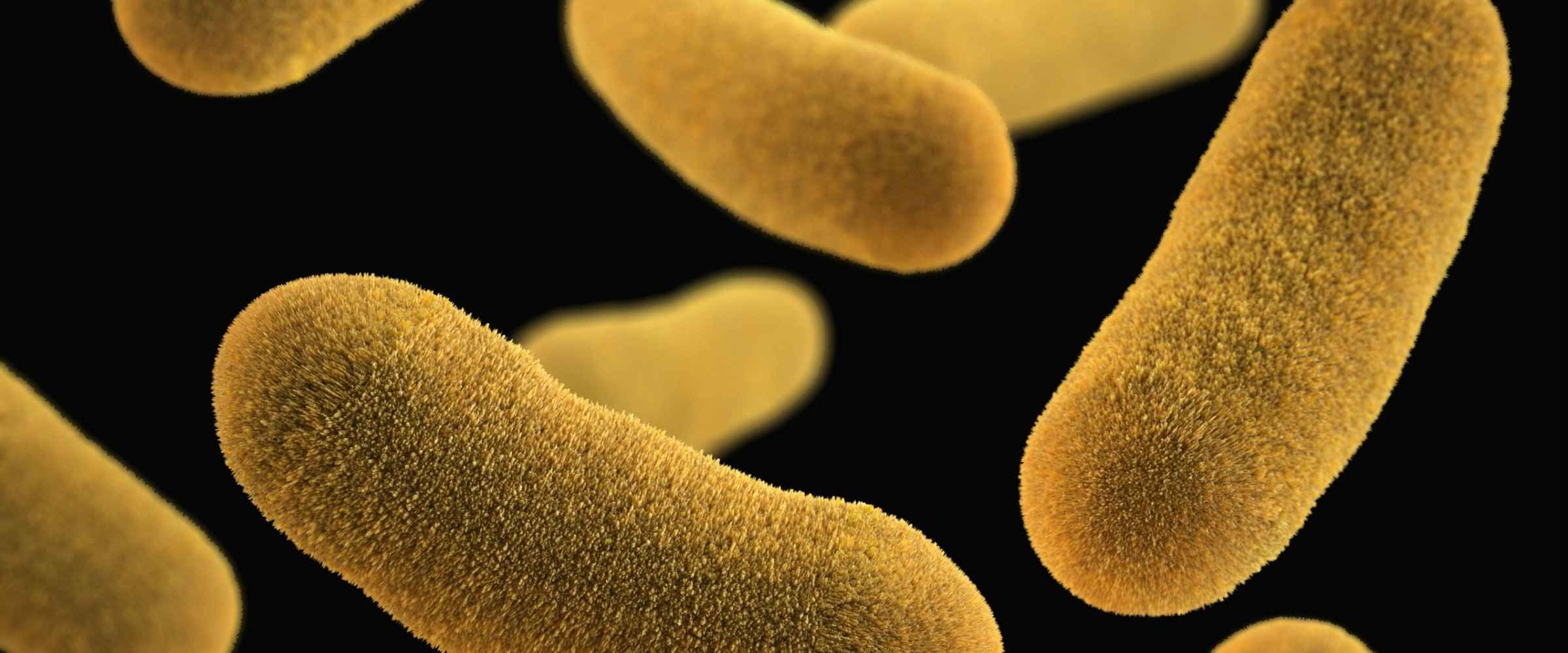 Desinfektion der Klimaanlage gegen Bakterien und Pollen